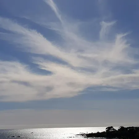 Apartment Old Town Ajaccio: Port-side Retreat Ajaccio (Corsica)